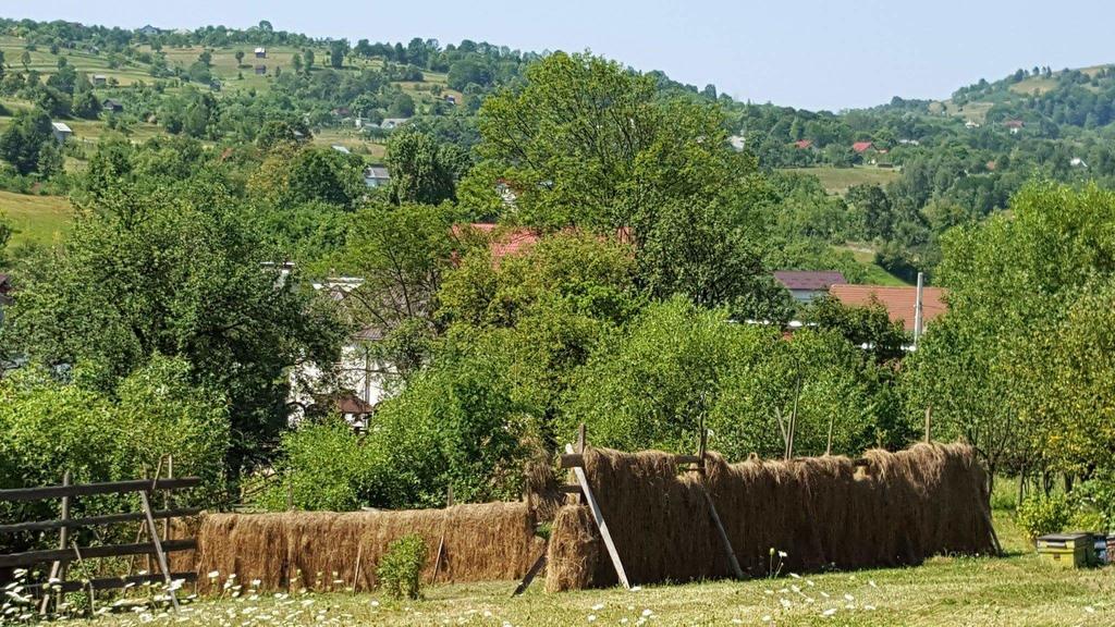 Pensiunea Simi Moisei Bagian luar foto